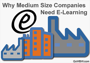 Why Medium Size Companies Need E-Learning 