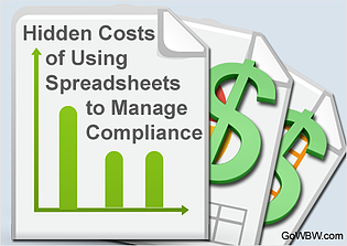 Hidden Costs and Time Expenditures Caused by Spreadsheet Misuse